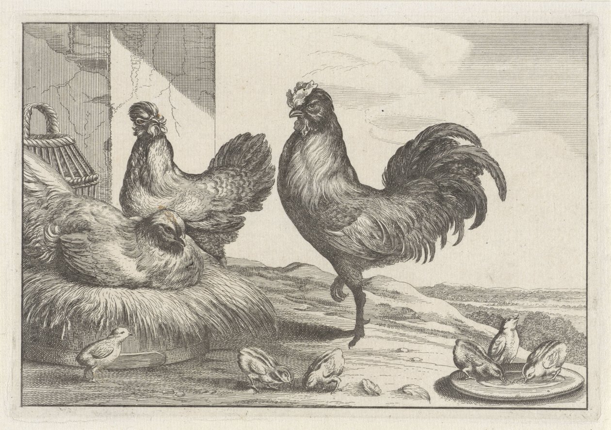 Galos, galos e pintos
Diversae avium species (título da série)
Várias aves (título da série) de Anonymous