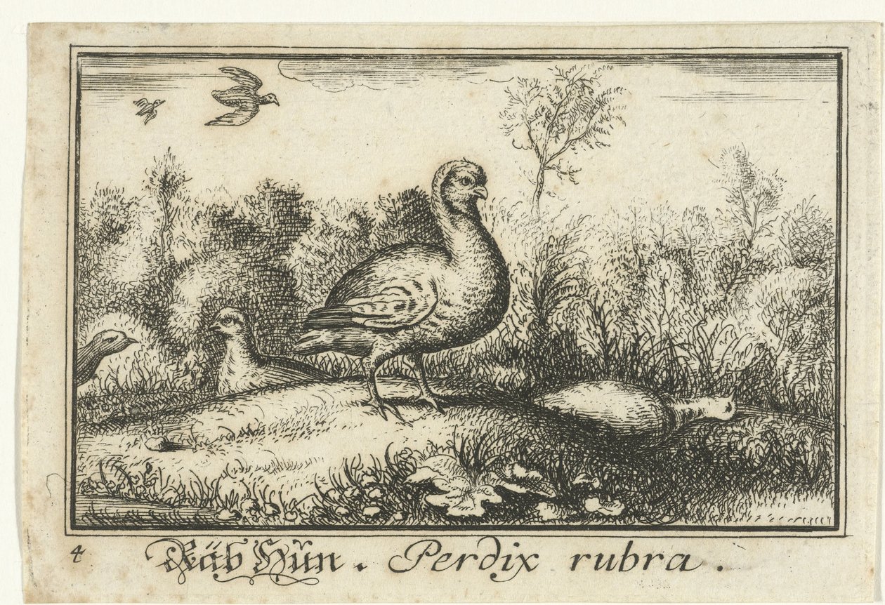 Paisagem com perdizes Rab Hun, Perdix rubra. (título no objeto) de Anonymous