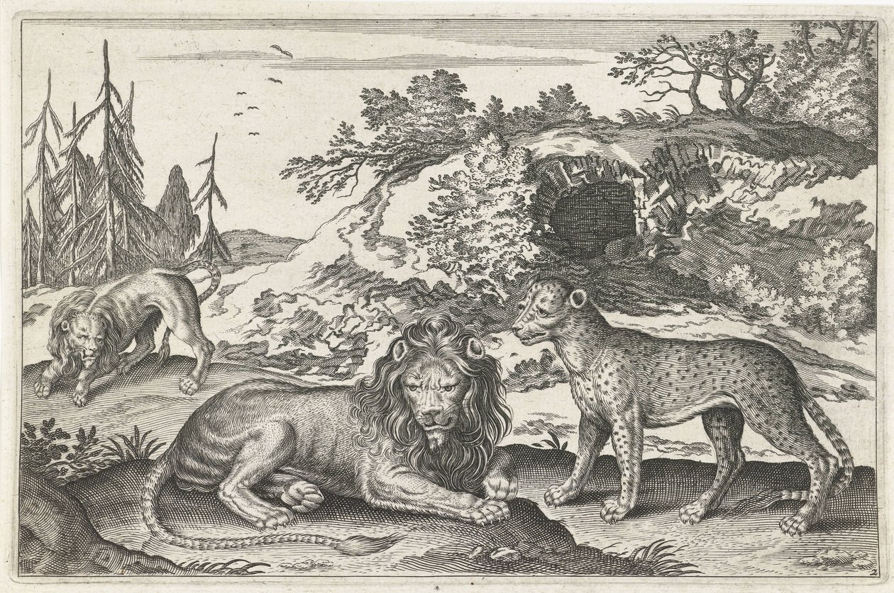 Leões e leopardo
Animais de quatro patas (título da série)
Animalivm Qvaddrvpedvm (título da série) de Anonymous