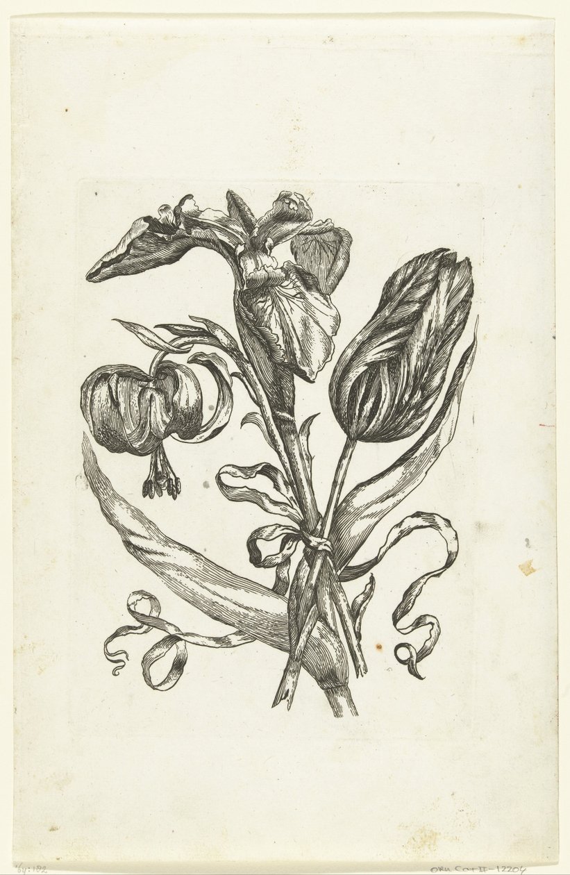 Lelie, íris e tulipa Novos ícones de flores (título da série) de Anonymous