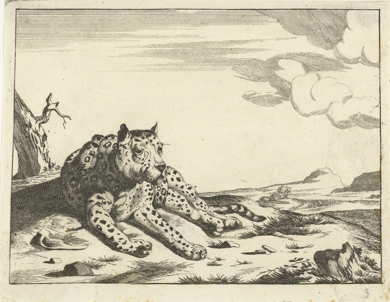 Leopardo recortado, visto de frente, pernas para a direita de Anonymous