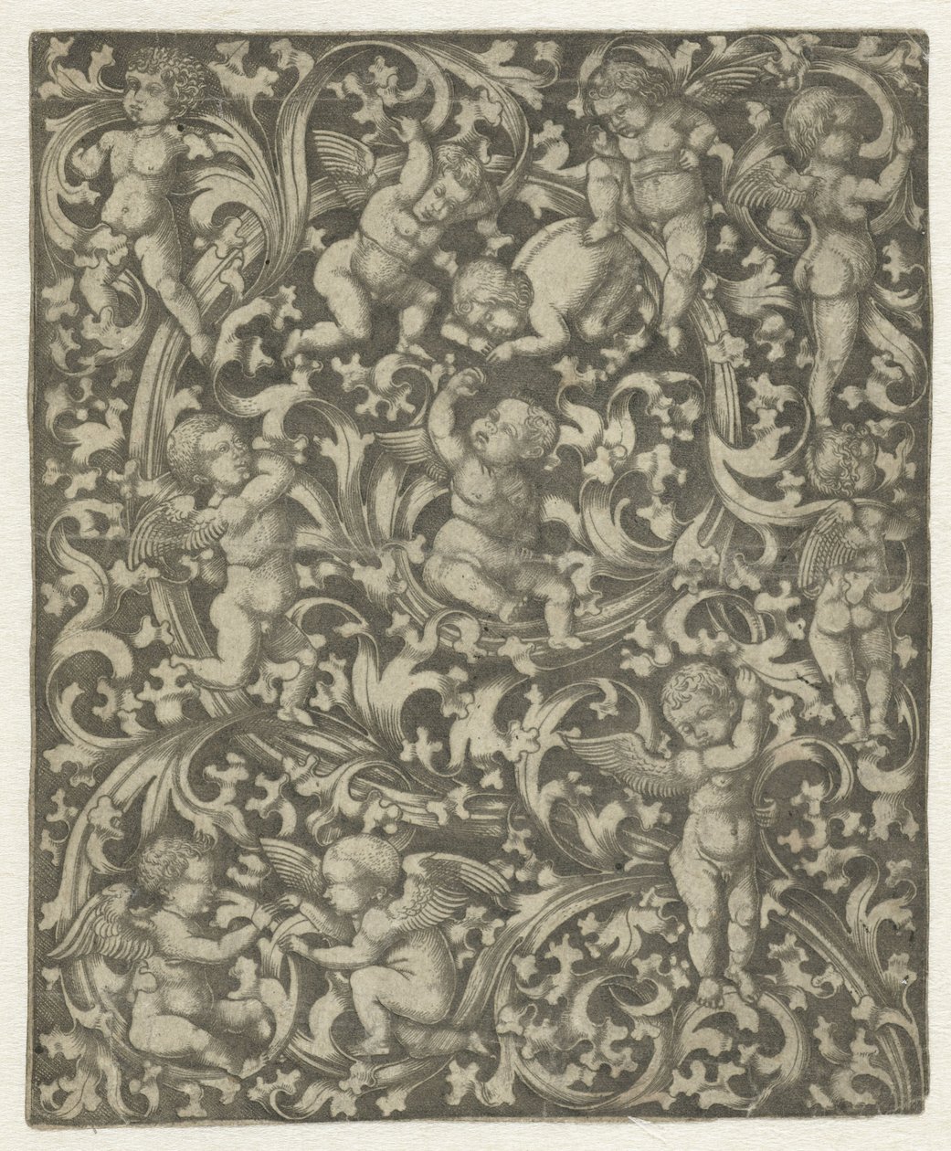 Ornamento com putti de Anonymous