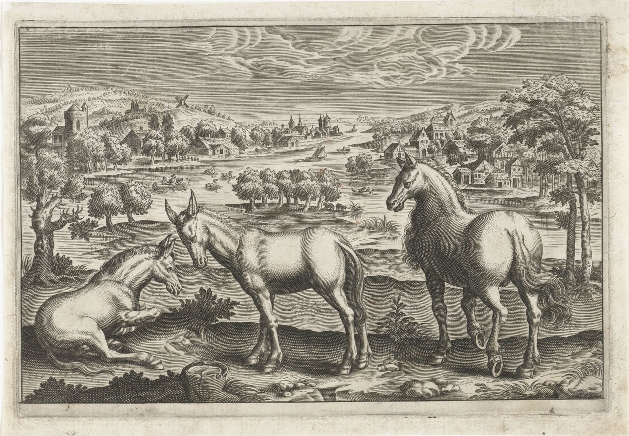 Cavalo e burros Animais de quatro patas (título da série) Animalivm Qvaddrvpedvm (título da série) de Anonymous
