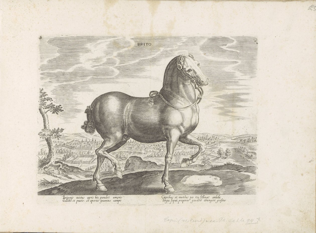 Paard uit Inglaterra Brito (título no objeto) Paardenrassen uit de Koninklijke stallen van Don Juan van Oostenrijk (título da série) O cavalo, no qual todos os tipos de nobres: o comportamento de cavalos distintos de várias partes do mundo selecionado (... de Anonymous