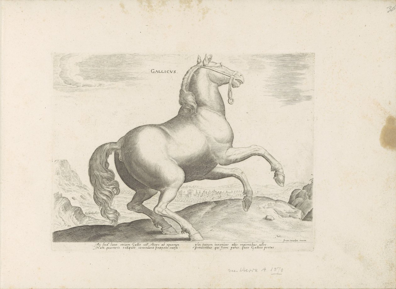 Paard uit Frankrijk Francês (título no objeto) Paardenrassen uit de Koninklijke stallen van Don Juan van Oostenrijk (título da série) O cavalo, no qual todos os tipos de nobres: o comportamento de cavalos distintos de várias partes do mundo selecionado (.. de Anonymous