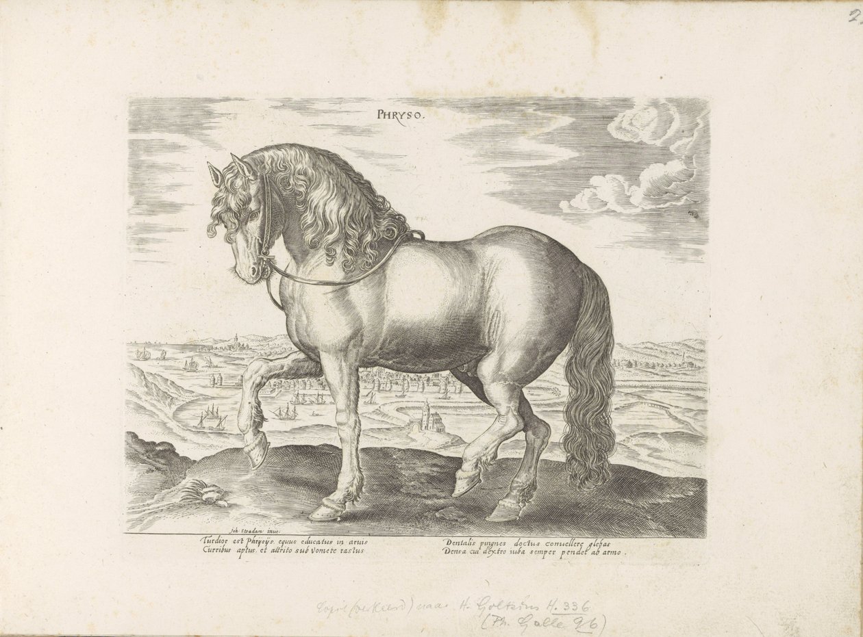 Cavalo de Friesland
Phryso (título sobre o objecto)
Raças de cavalos dos estábulos reais de Don Juan da Áustria (título da série)
Equile, in quo omnis generis generosissi: morum equorum ex varijs orbis partibus insignis delectus (...) (título da série s de Anonymous