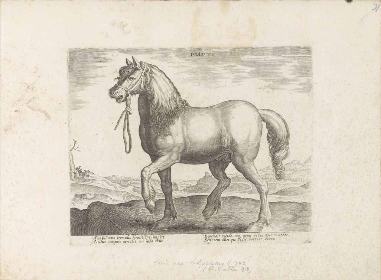 Cavalo de Gulik (Juliacus)
Juliacus (título sobre o objecto)
Raças de cavalos dos estábulos reais de Don Juan da Áustria (título da série)
Equile, in quo omnis generis generosissi: morum equorum ex varijs orbis partibus insignis delectus (...) (série ti de Anonymous
