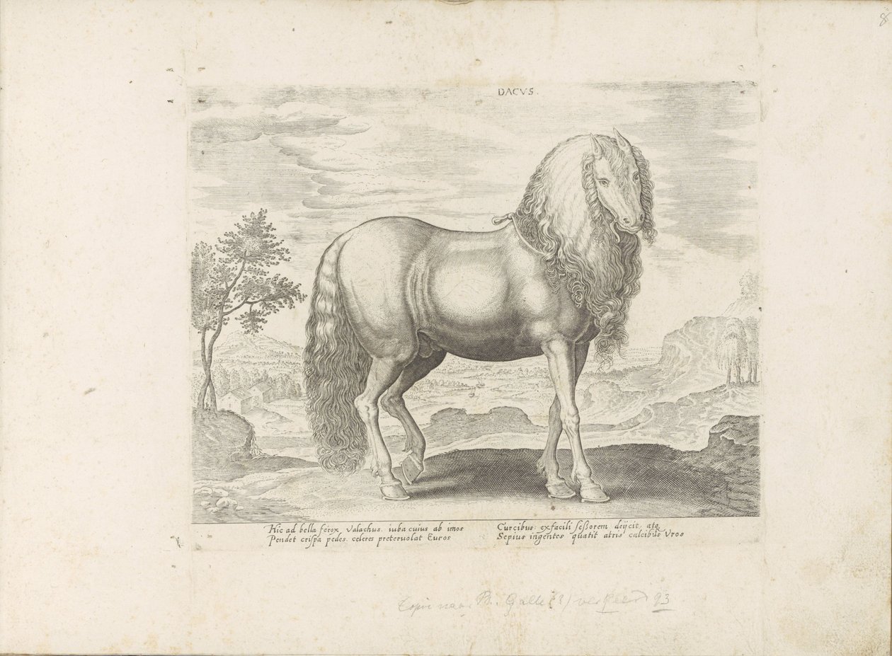 Cavalo da Roménia (Dacus)
Dacus (título sobre o objecto)
Raças de cavalos dos estábulos reais de Don Juan da Áustria (título da série)
Equile, in quo omnis generis generosissi: morum equorum ex varijs orbis partibus insignis delectus (...) (título da sé de Anonymous
