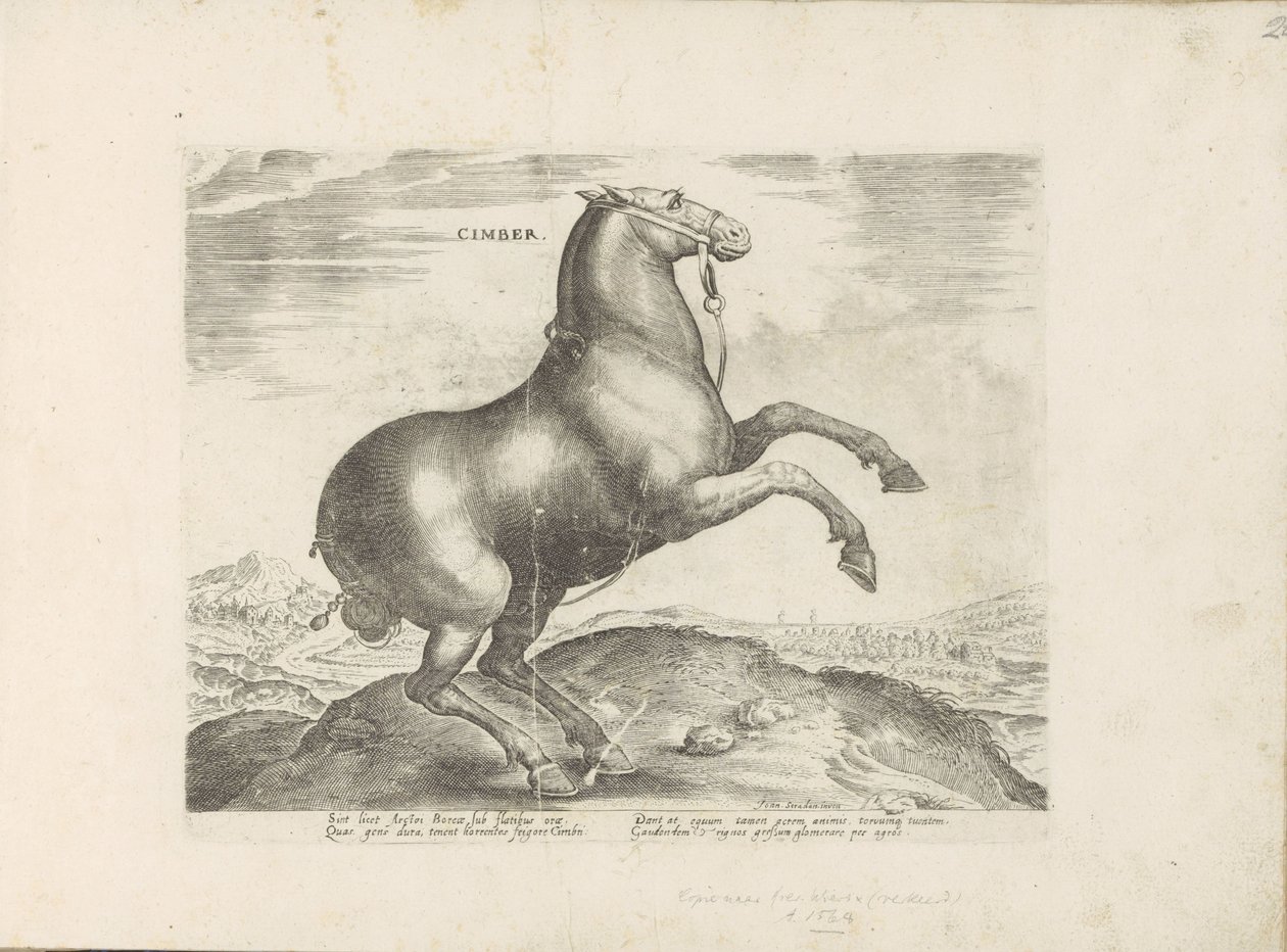 Cavalo de Scythia
Cimber (título sobre o objecto)
Raças de cavalos dos estábulos reais de Don Juan da Áustria (título da série)
Equile, in quo omnis generis generosissi: morum equorum ex varijs orbis partibus insignis delectus (...) (título da série sob de Anonymous