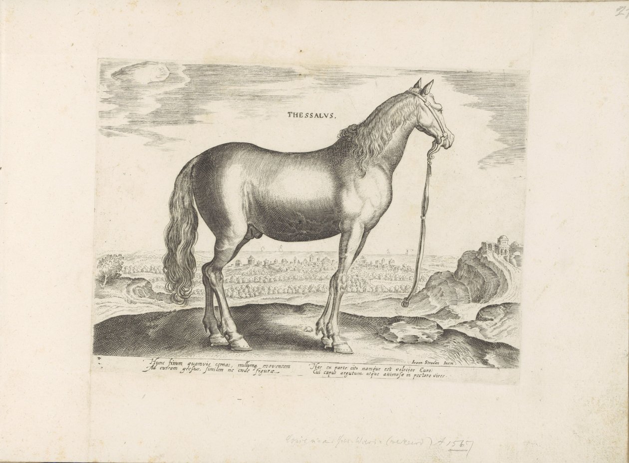 Paard uit Thessalië Tessália (título no objeto) Paardenrassen uit de Koninklijke stallen van Don Juan van Oostenrijk (título da série) O cavalo, em que todos os tipos de nobres: o comportamento de cavalos distintos de várias partes do mundo selecionado (.. de Anonymous