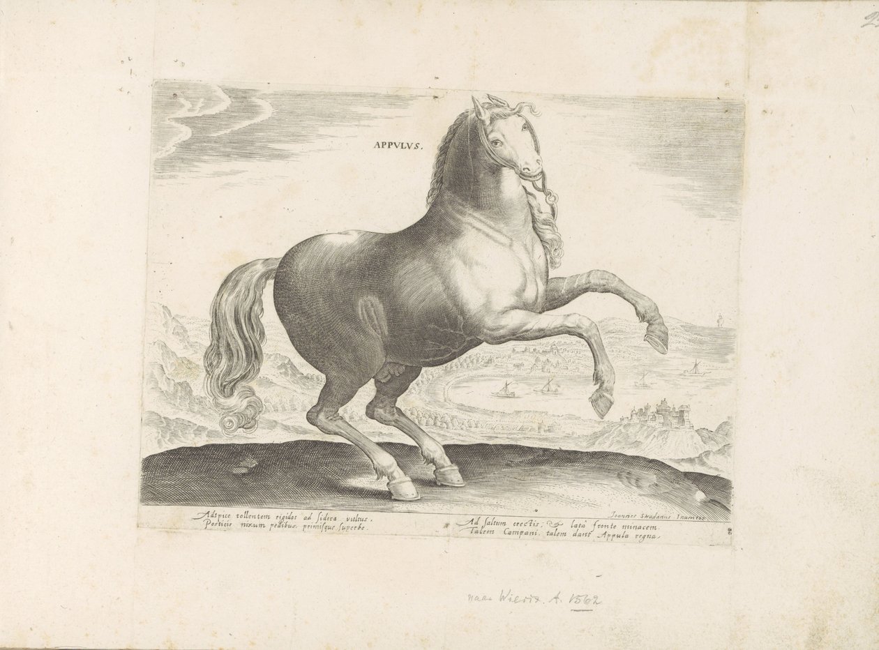 Cavalo do sul de Itália
Appulus (título sobre o objecto)
Raças de cavalos dos estábulos reais de Don Juan da Áustria (título da série)
Equile, in quo omnis generis generosissi: morum equorum ex varijs orbis partibus insignis delectus (...) (título da sé de Anonymous