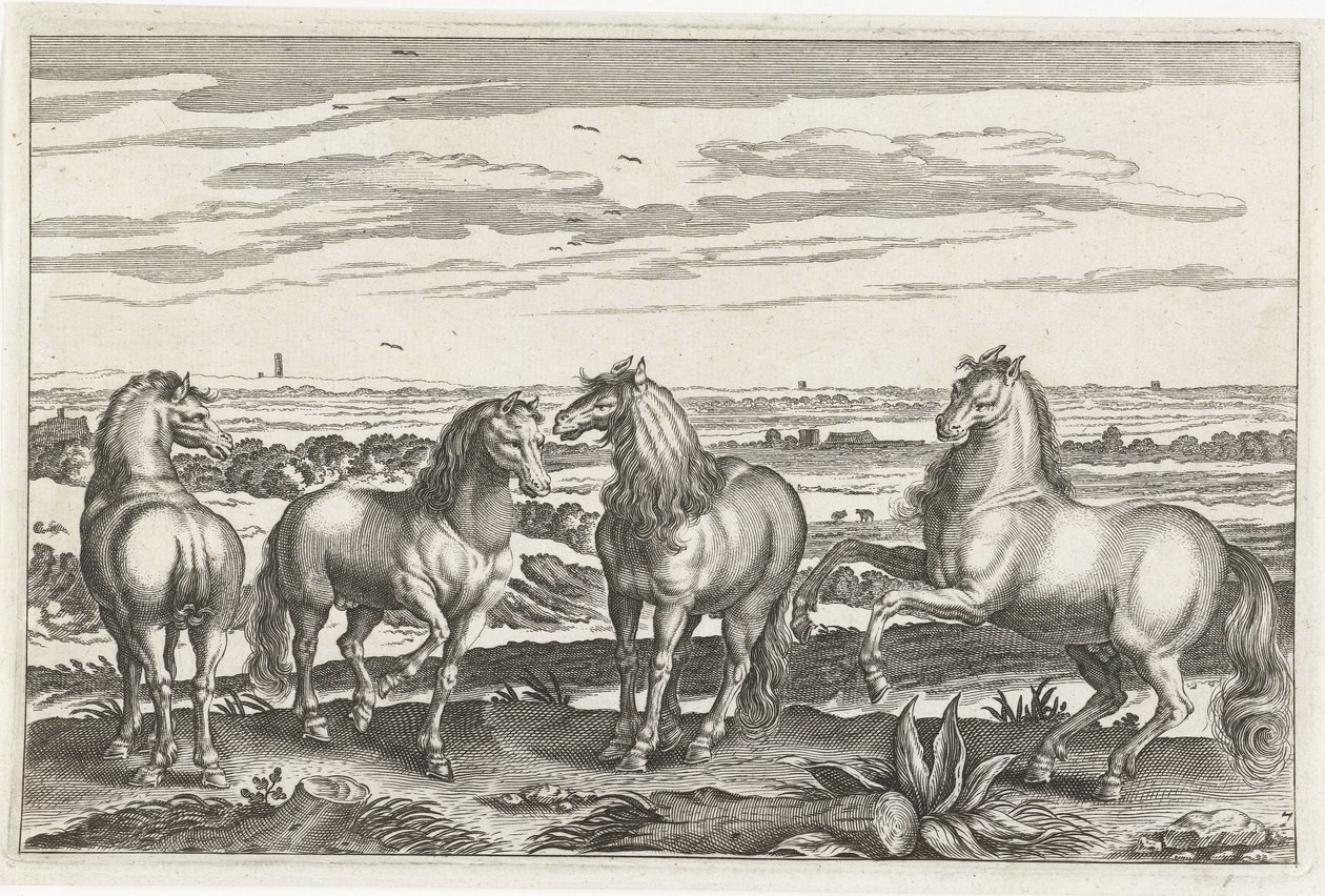 Cavalos
Animais de quatro patas (título da série)
Animalivm Qvaddrvpedvm (título da série) de Anonymous