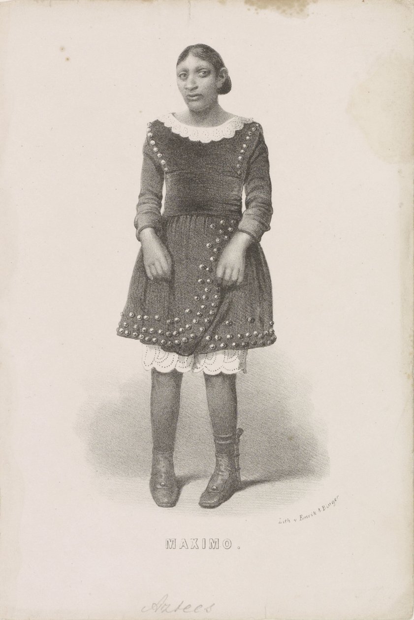 Retrato de Máximo, 1857
Maximo (título sobre o objecto) de Anonymous