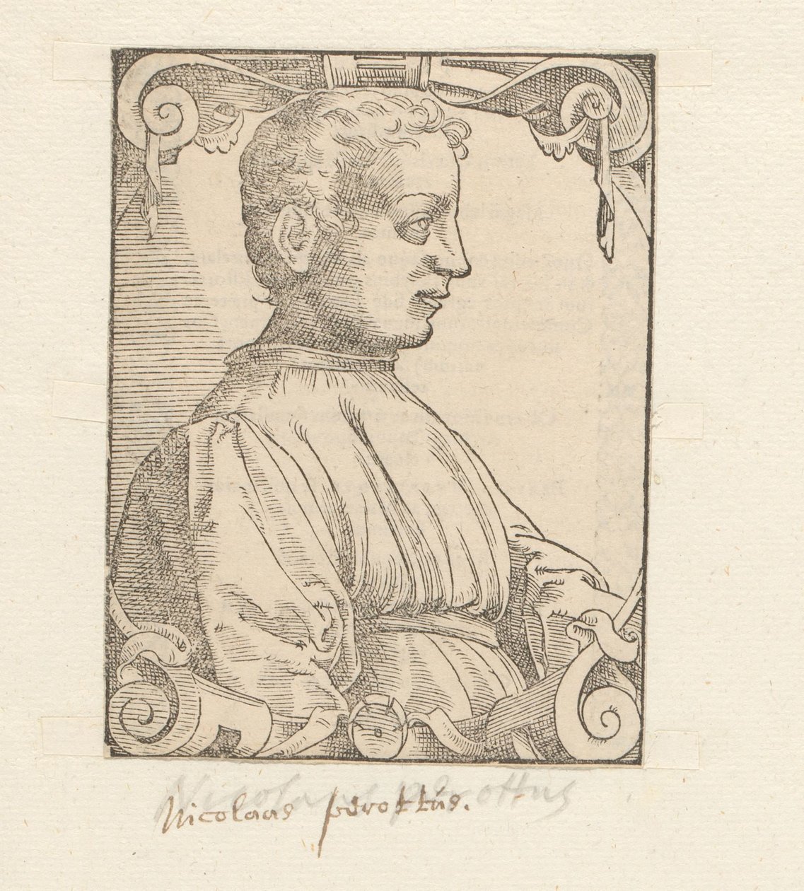 Retrato de Niccolò Perotti de Anonymous
