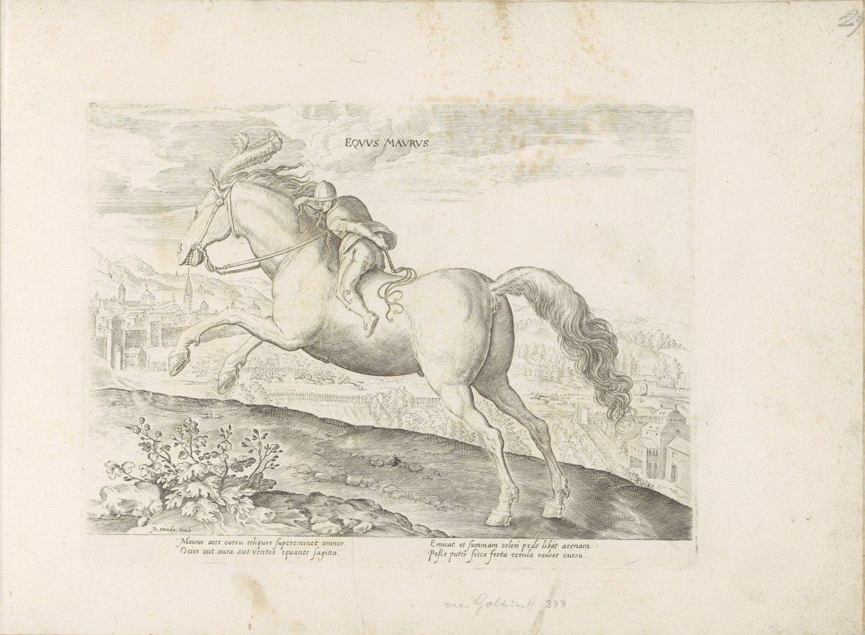 Renpaard conheceu Ruiter Cavalo mouro (título no objeto) Paardenrassen uit de Koninklijke stallen van Don Juan van Oostenrijk (título da série) O cavalo, no qual todos os tipos de nobres: as maneiras dos cavalos distinguidos de várias partes do mundo selec de Anonymous