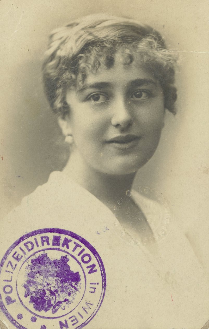 Carta de condução de Elsa Silberstein de Anonymous