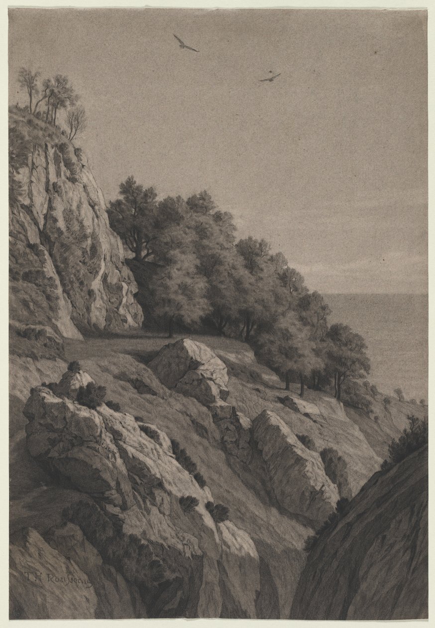 Rocky Cliff em uma costa de Anonymous