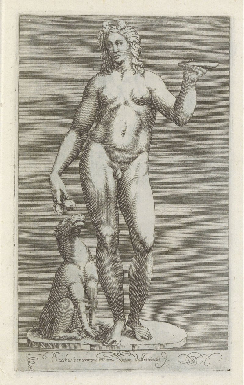 Sculptuur van Bacchus en een hond Baco e mármore na área do palácio de Vallens (título no objeto) Esculturas antigas em Roma (título da série) Ícones das antigas estátuas da cidade de Roma que são vistas em locais públicos (título da série) de Anonymous