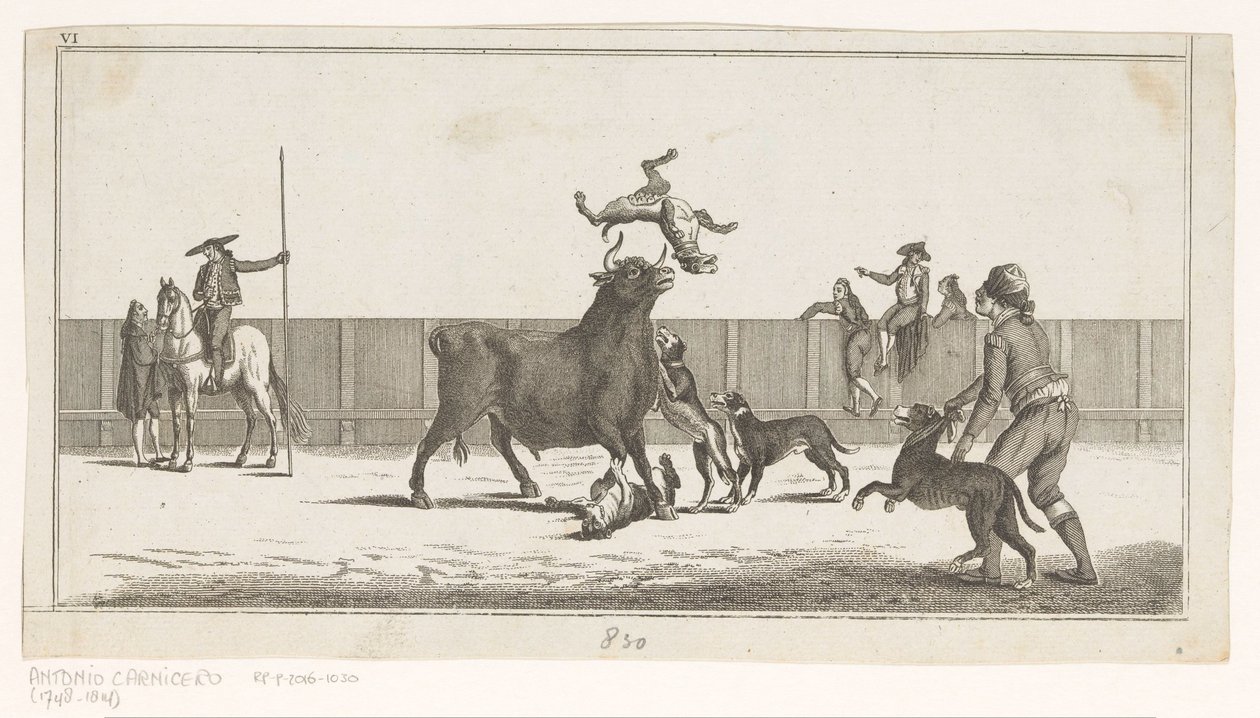 Touro atacado por cães Coleccion de las principales suertes de una corrida de toros (título da série no objeto) Colecção das manobras tauromáquicas mais importantes (título da série) de Anonymous