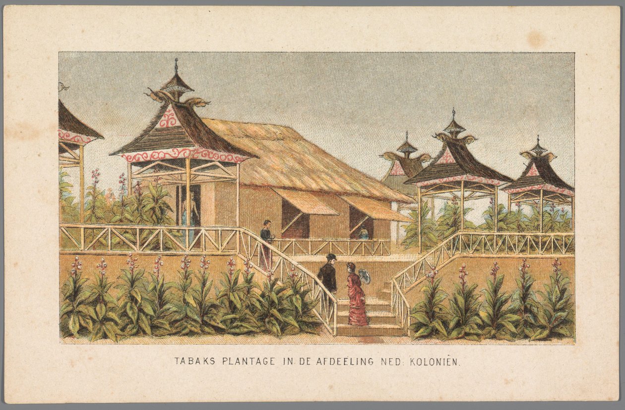 Plantação de tabaco das colónias holandesas na Feira Mundial em Amesterdão, 1883
Plantação de tabaco na secção Ned: Colónias (título sobre o objecto)
Memória de Amesterdão em 1883 (título da série sobre o objecto) de Anonymous
