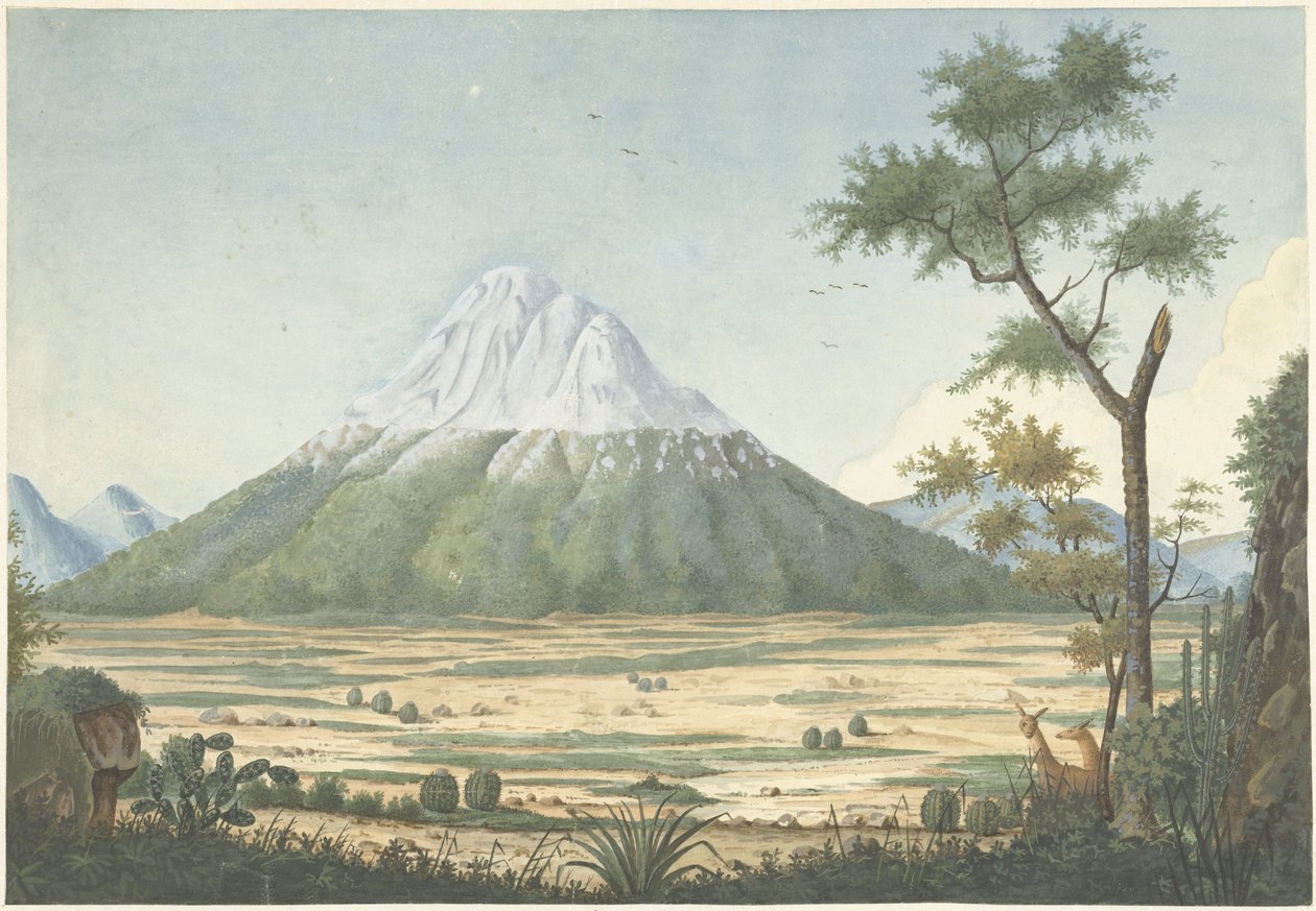 Paisagem tropical com montanhas de Anonymous