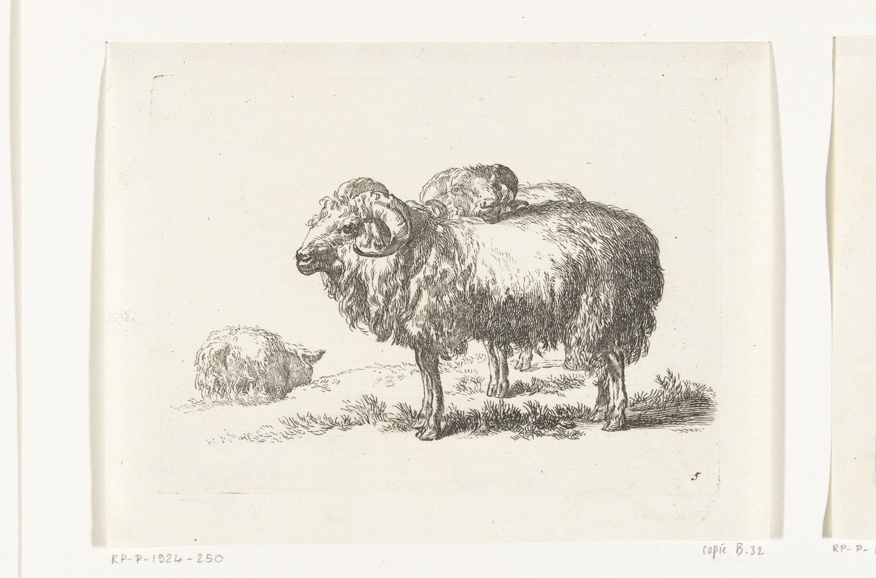 Duas cabras e uma ovelha mentirosa Cabras e ovelhas para N.P. Berchem (título da série) de Anonymous
