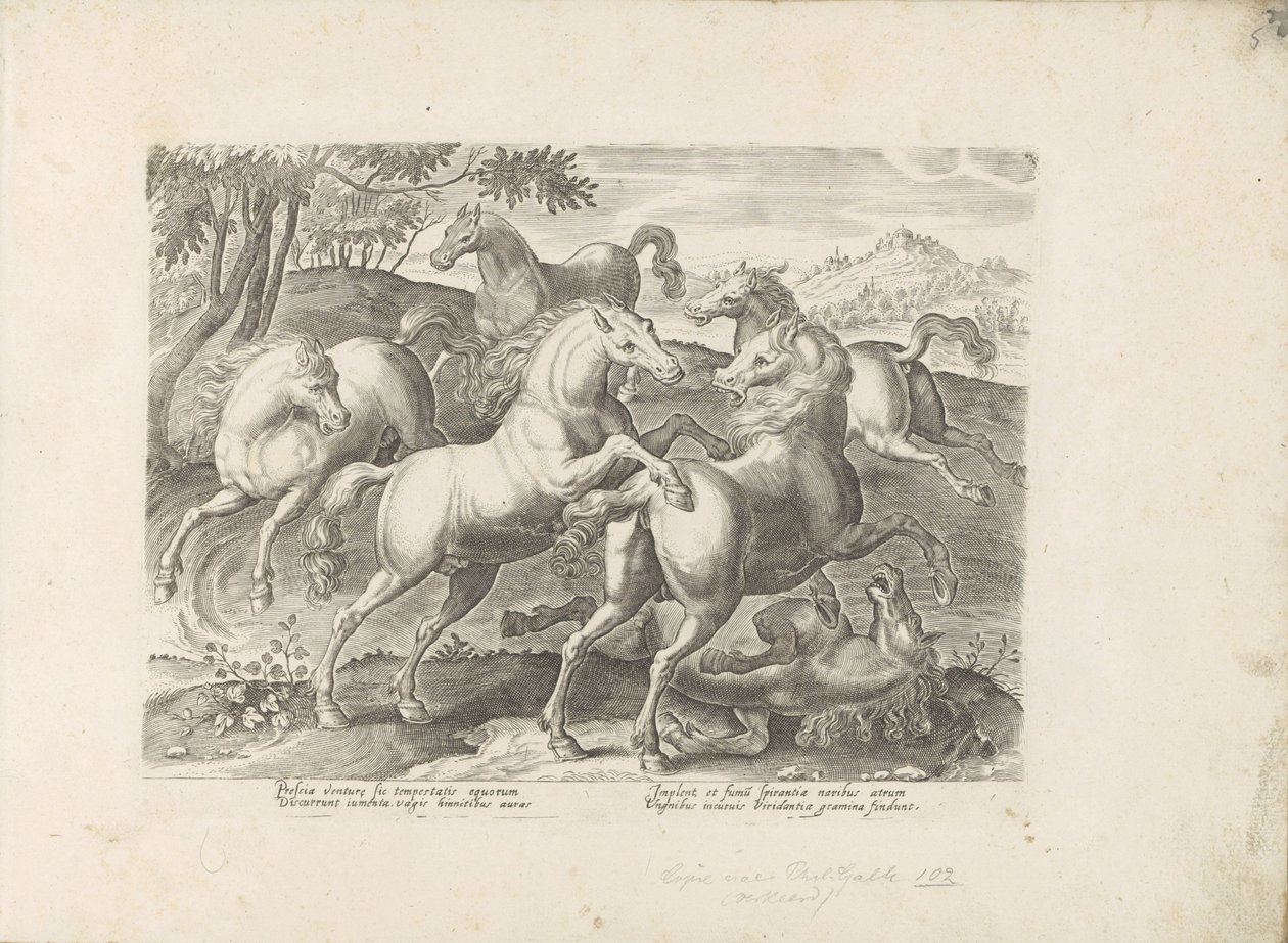 Vechtende paarden com een ​​onder de voet gelopen paard O cavalo, no qual todos os tipos de nobres: o comportamento de cavalos distintos de várias partes do mundo selecionado (...) (título da série no objeto) de Anonymous