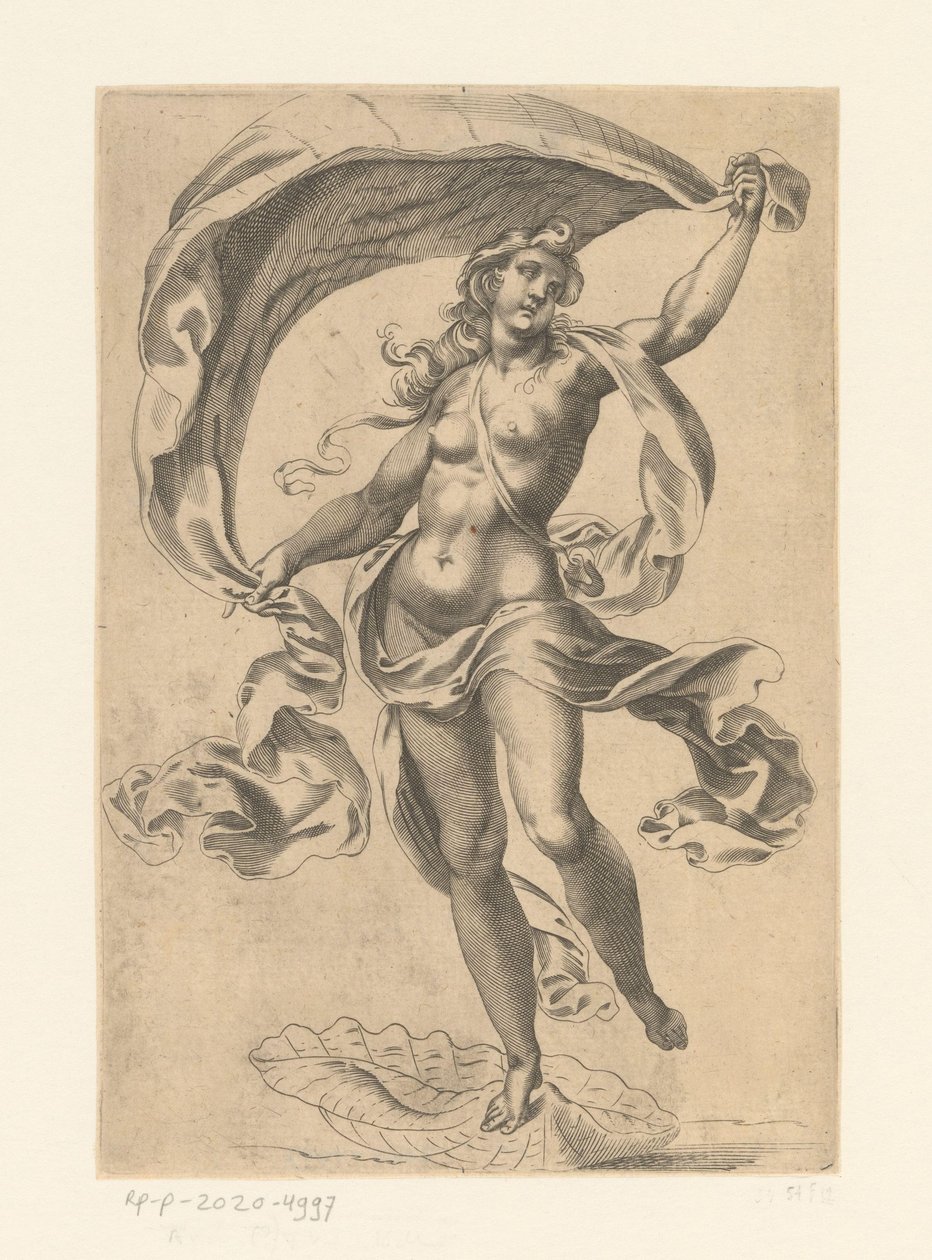 venus marinha de Anonymous