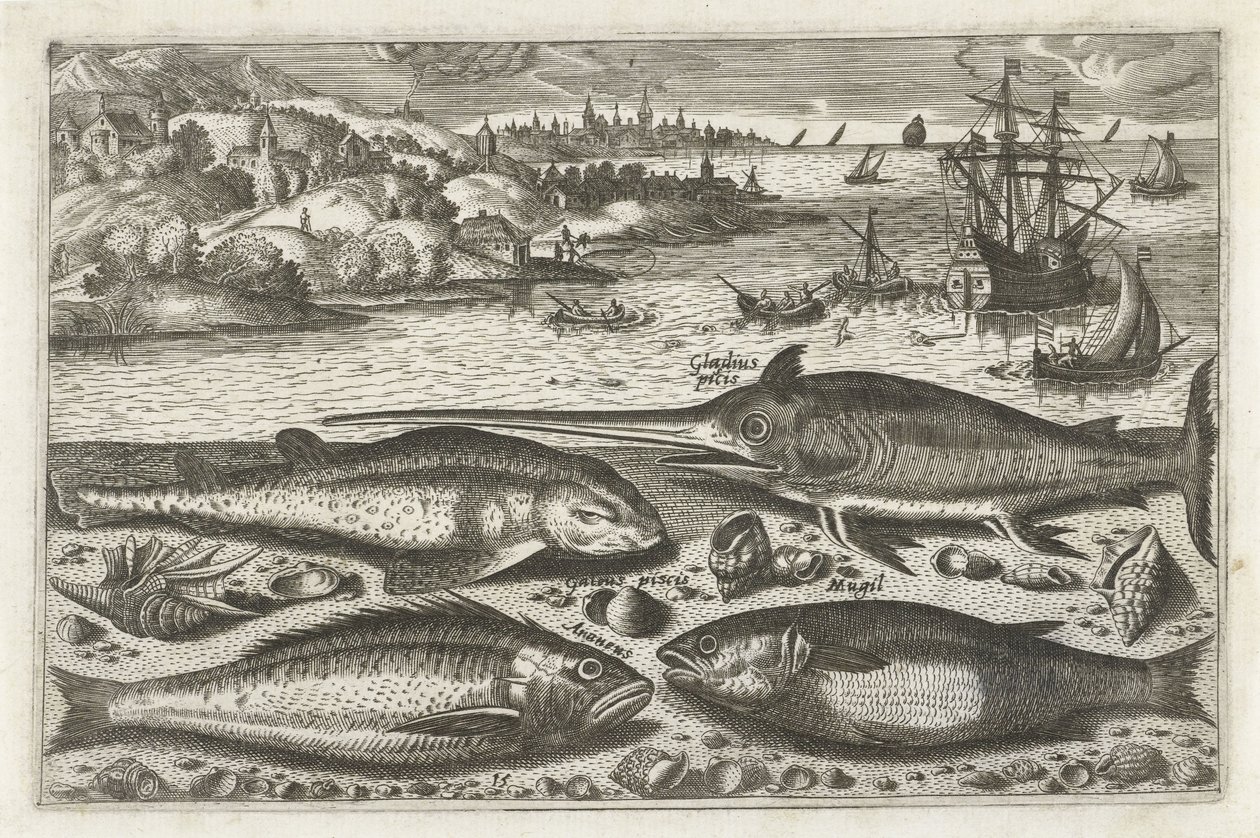 Quatro peixes na praia Pesca (título da série) Ícones de Piscium vivae (título da série) de Anonymous