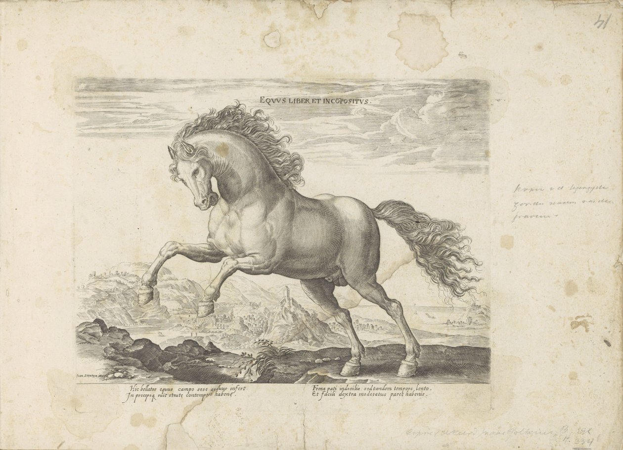 Paard selvagem
Equus Liber et Incopositus (título sobre o objecto)
Equile, in quo omnis generis generosissi: morum equorum ex varijs orbis partibus insignis delectus (...) (título da série sobre o objecto) de Anonymous