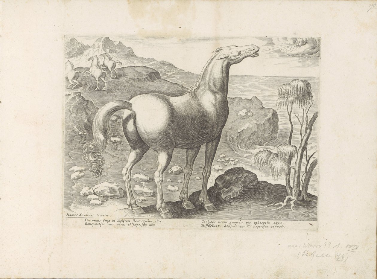 Zephyrus impregna uma égua
Raças de cavalos dos estábulos reais de Don Juan da Áustria (título da série)
Equile, in quo omnis generis generosissi: morum equorum ex varijs orbis partibus insignis delectus (...) (título da série sobre o objecto) de Anonymous