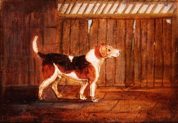 Um Cão de Caça de Anonymous Anonymous
