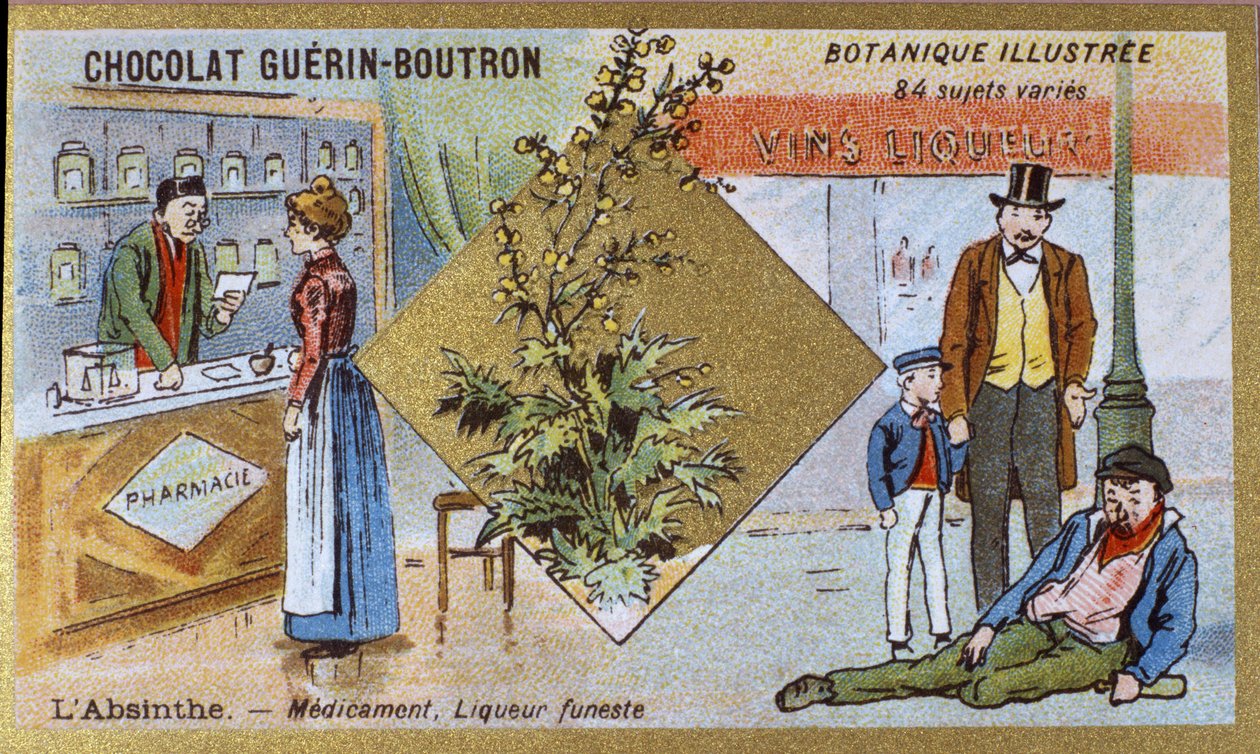Absinto: remédio e licor mortífero. Gravura (cromo). Cromolitografia publicitária para os chocolates Guerin-Boutron, finais do século XIX. Série Botânica Illustree. de Anonymous Anonymous
