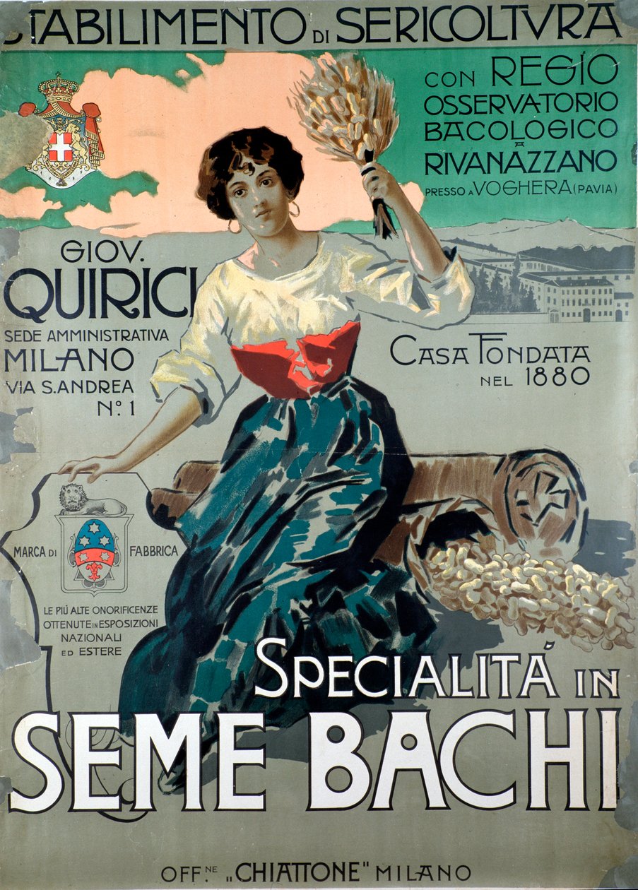 Cartaz publicitário para a indústria da sericultura e da produção de seda de Anonymous Anonymous