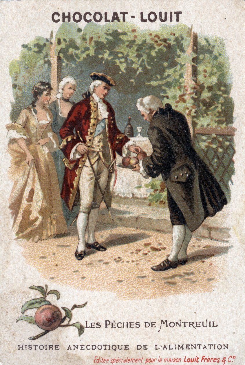 História anedótica da comida: A pesca de Montreuil. Os aqui representados são na realidade a pesca Espalier de Bagnolet. O Rei de França Luís XV vem com a sua corte para comer os pêssegos cultivados por Monsieur Edmee de Girardot. Cromol Chocolate-Louit de Anonymous Anonymous