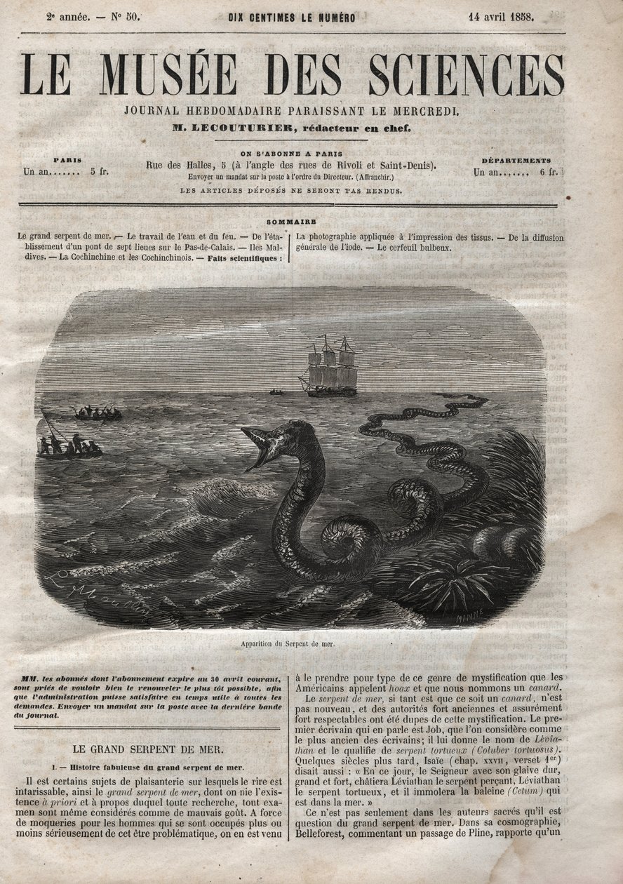Aparência da cobra marinha. Gravura de 1858. Um dos "Musee des sciences" de 14 de Abril. de Anonymous Anonymous