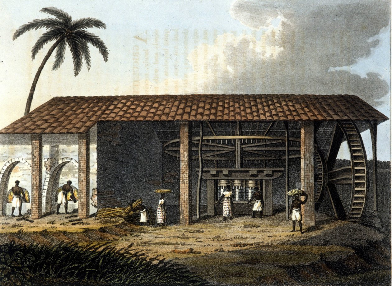 Brasil, fábrica de açúcar - em "The Old and Modern Costume" 1819 - 1820 pelo Dr. Jules Ferrario, ed Milan. de Anonymous Anonymous