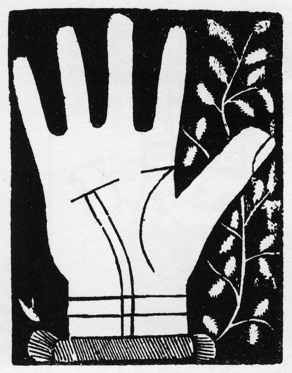 Chiromancia - Dupla linha solar quebrando contra o meio - Gravura 1545 em "A Arte do Quimio" de Andre Corvo - Coleção particular de Anonymous Anonymous