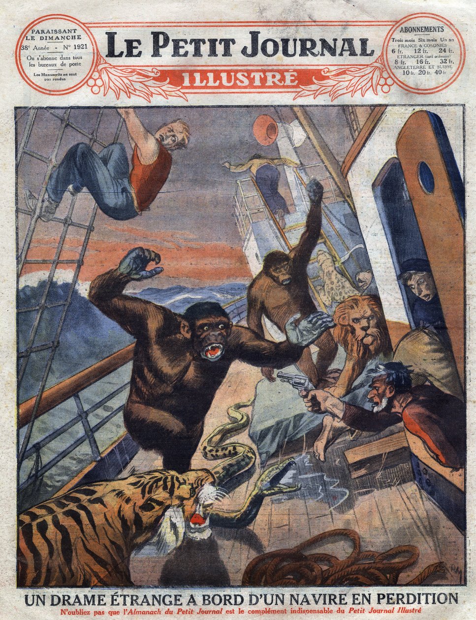 Drama sobre o transatlântico francês "Saint Etienne": gorilas, tigres, leões e cobras destinados aos jardins zoológicos ingleses escaparam da sua jaula e atacaram os membros da tripulação. "Engraving". Um dos "The Little Journal Illustrates". de Anonymous Anonymous