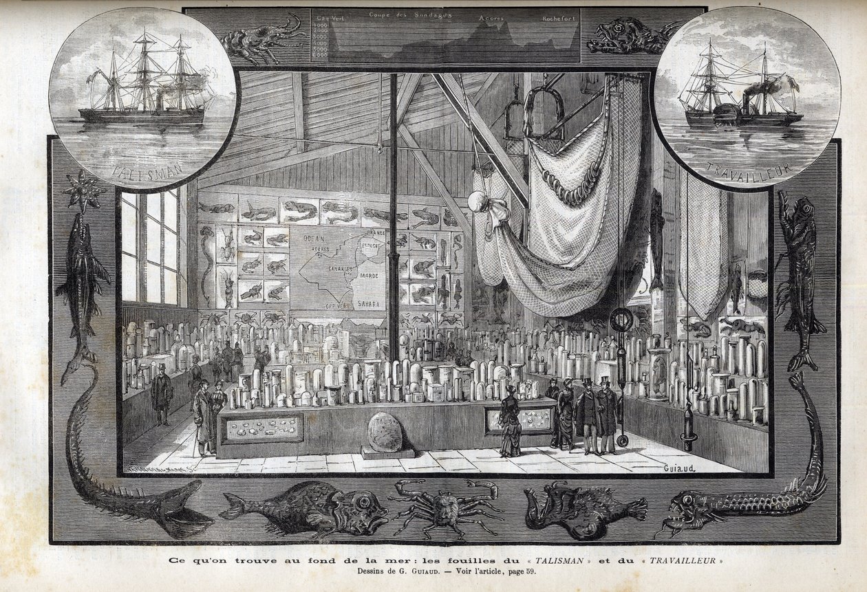 Exposição no Museu de História Natural de Paris das colecções formadas durante os cruzeiros - Expedições científicas do Operário e do Talismã durante os anos 1880 de Anonymous Anonymous
