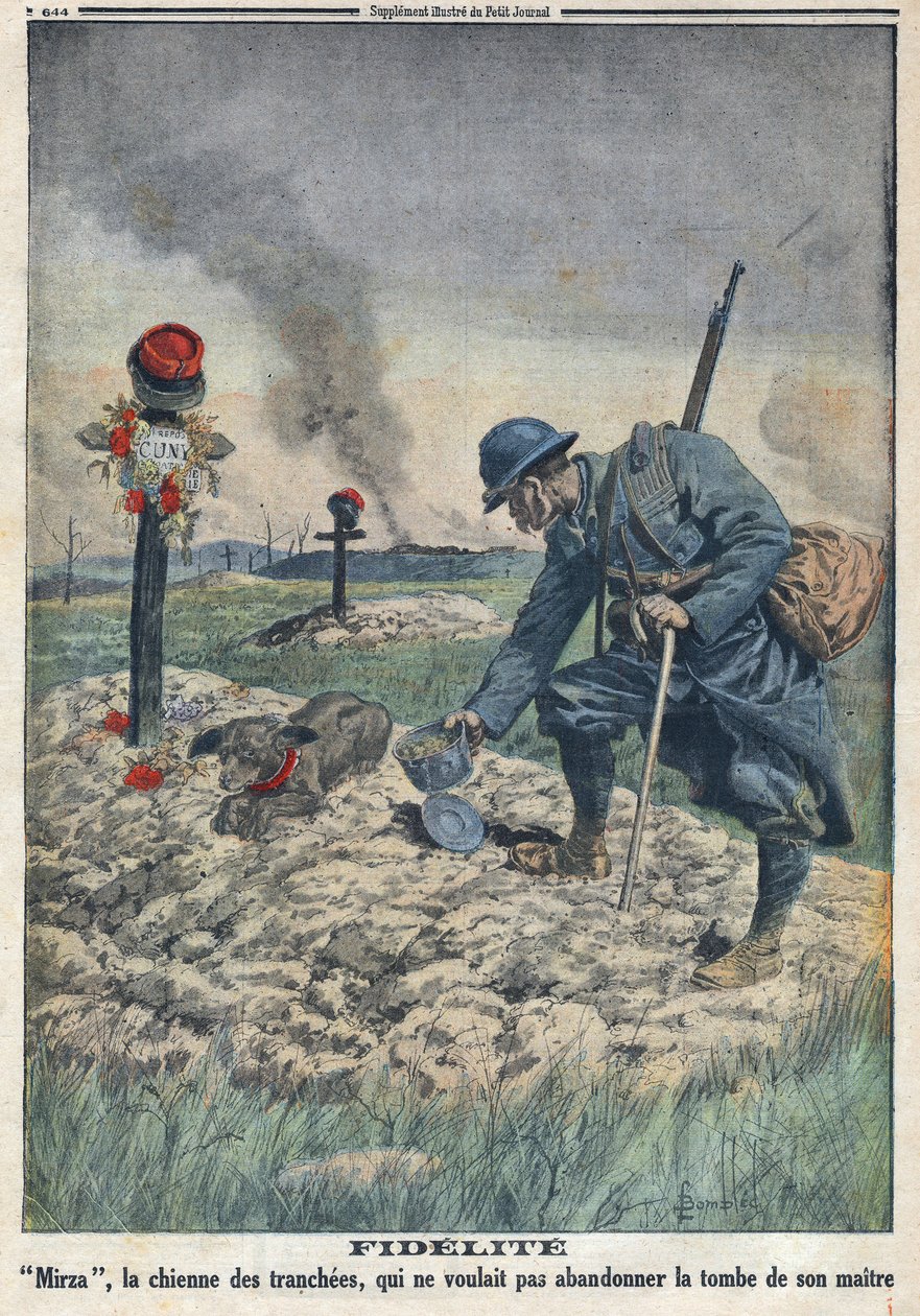 Primeira Guerra Mundial 1914-1918 (Guerra 14-18). Um cão recusando-se a abandonar a sepultura do seu dono morto na trincheira. No "Le Petite Journal", em 10/09/1916. Coleção Particular de Anonymous Anonymous
