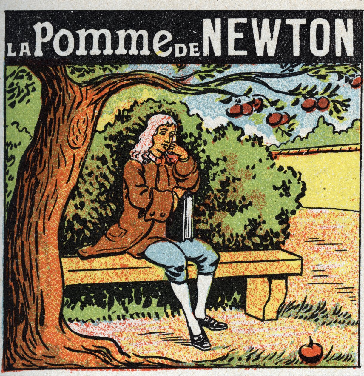 Gravitação: A maçã de Newton. Isaac Newton (1642-1727) observa uma maçã a cair de uma macieira e descobre as leis da gravidade da terra (gravite). Ilustração anônima de 1925. Coleção particular. de Anonymous Anonymous
