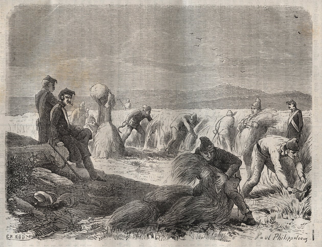 Forças de colheita na bagne de Belle-Ile-en-Mer (bela ilha no mar) no século XIX. Gravação em "Histoire des bagnes depuis leur création à nos jours" (1877) de Pierre Zaccone (1817-1895) (Colonia Penale - colônia penal). Coleção particular. de Anonymous Anonymous