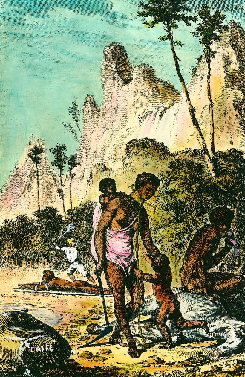 Viagem à Ilha de França (actual Maurícia): o trabalho dos escravos. Um mestre branco de exploração chicoteia um escravo deitado no chão. Uma mulher usa um colar com o seu pé. Gravura do século XVIII. Colecção privada. de Anonymous Anonymous