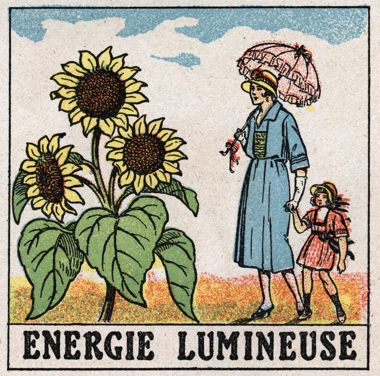 Energia luminosa: o girassol é influenciado pela luz solar. Ilustração anónima de 1925. Coleção privada. de Anonymous Anonymous