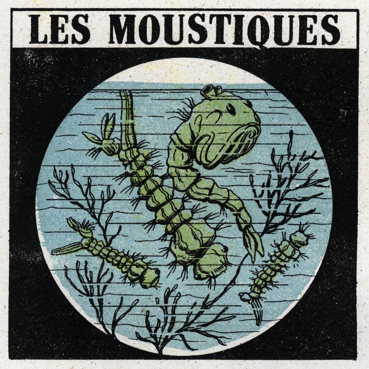 Projecção de luz: uso de uma lanterna de projecção para observar as larvas de mosquito. Ilustração anónima a partir de 1925. Colecção privada. de Anonymous Anonymous