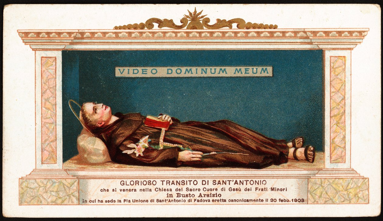 O Santo António de Pádua (san antonio di padova) entra na igreja do coração sagrado de Jesus dos Irmãos Menores de Busto Arsizio. Vemos as últimas palavras pronunciadas em latim pelo santo "Vídeo Dominum meum" (vejo o meu Senhor). Imagem piedosa. 20º cen de Anonymous Anonymous