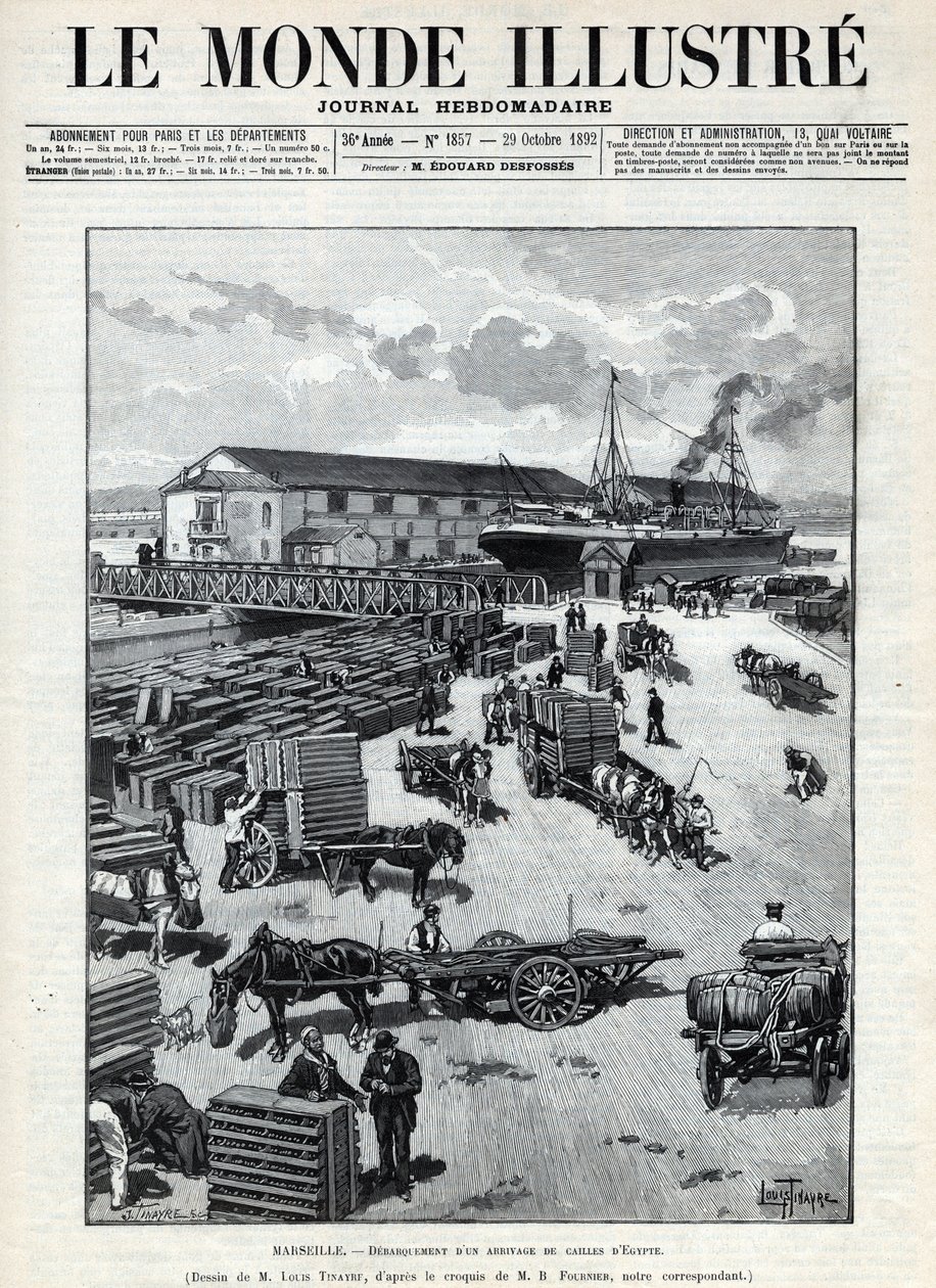 Comércio marítimo: descascamento de uma chegada de codornizes do Egito no porto de Marselha. Um jornal. Gravura em "Le monde illustree" de 1892. Colecção privada. de Anonymous Anonymous