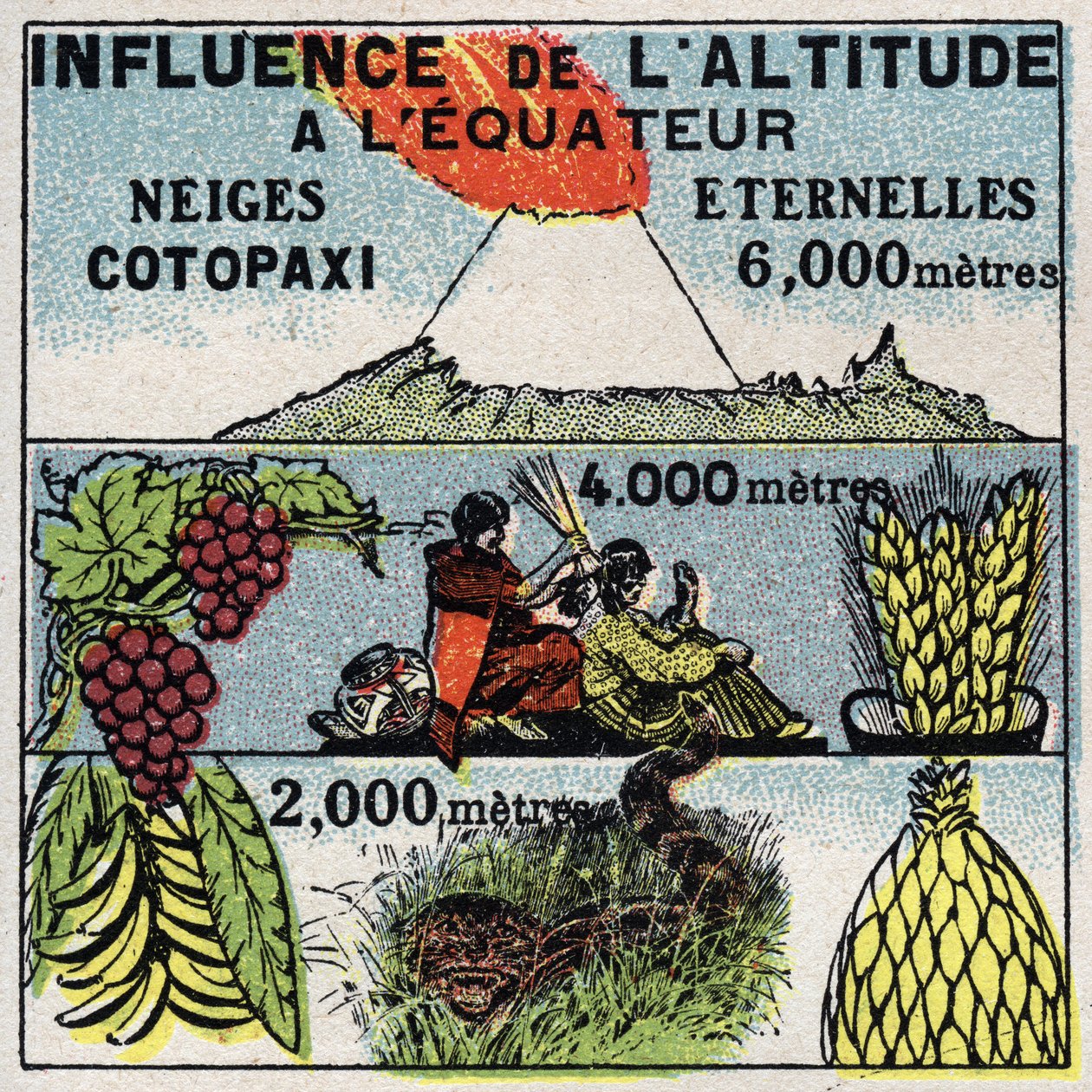 Meteorologia: influência da altitude no clima. Ilustração anónima de 1925. Coleção particular. de Anonymous Anonymous