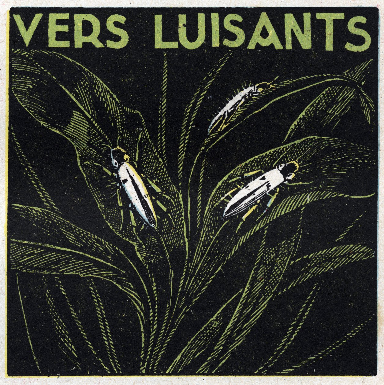 Fosforescência: verdes brilhantes. Ilustração anónima de 1925. Coleção privada. de Anonymous Anonymous